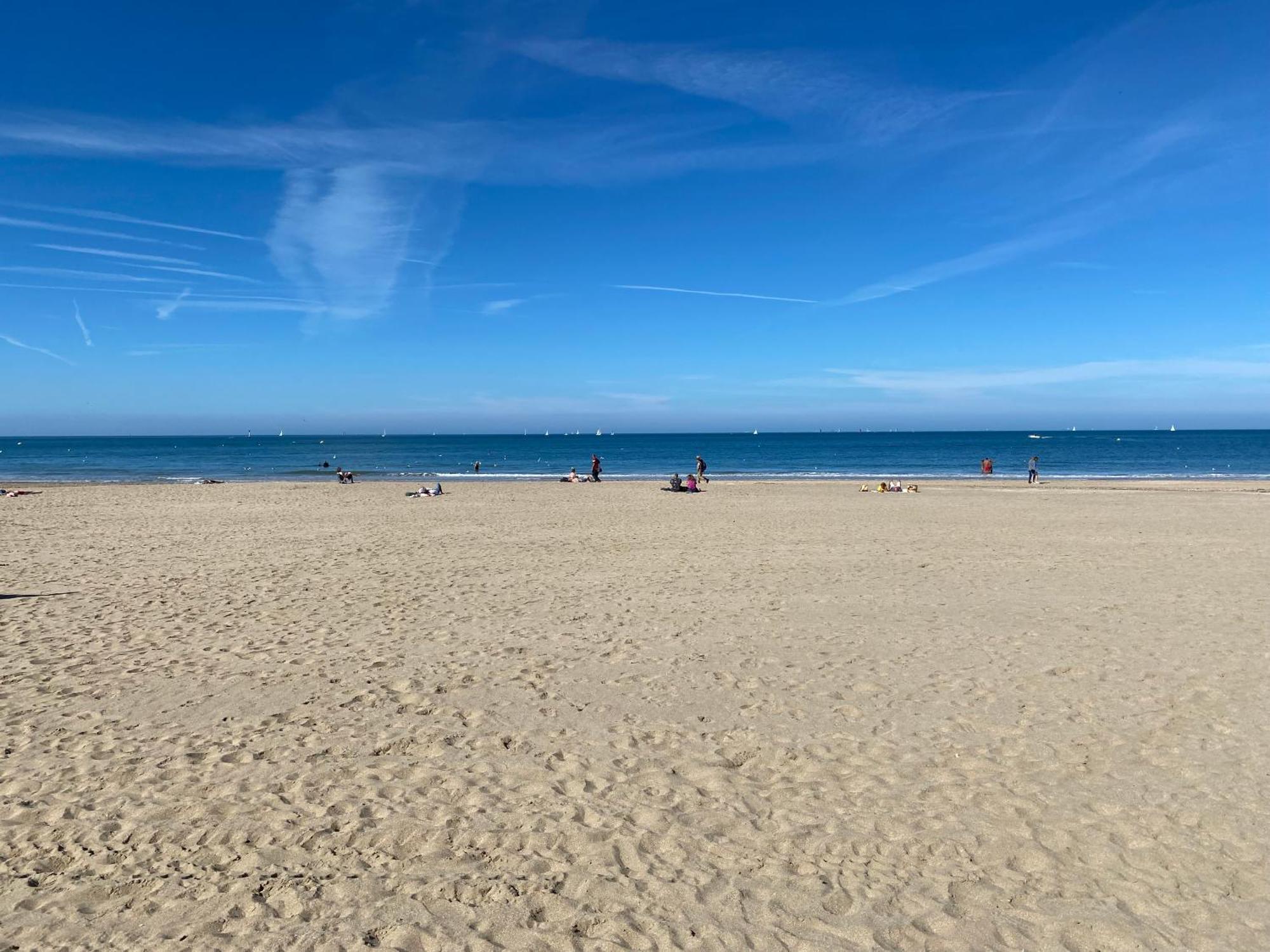 Magnifique Appartement de charme à Trouville sur Mer Trouville-sur-Mer Exterior foto
